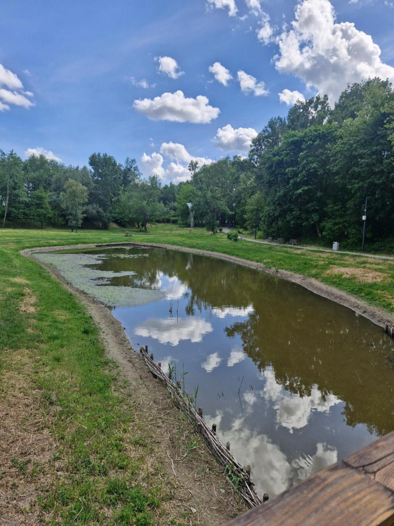 Apartament Cichy I Wygodny Stalowa Wola Luaran gambar